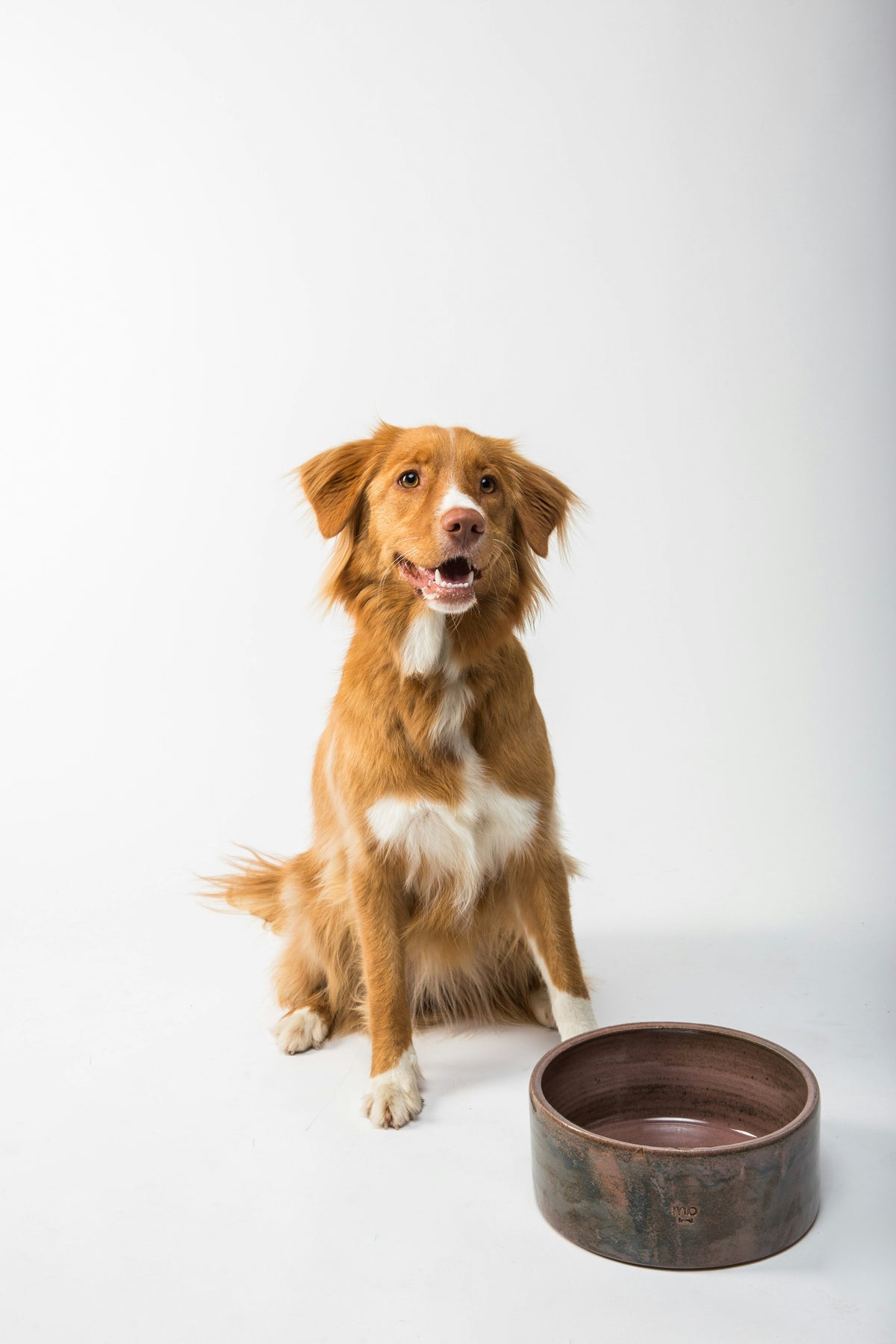 Ceramic Pet Food Bowl