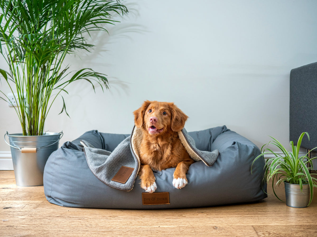 Cozy Plush Pet Bed