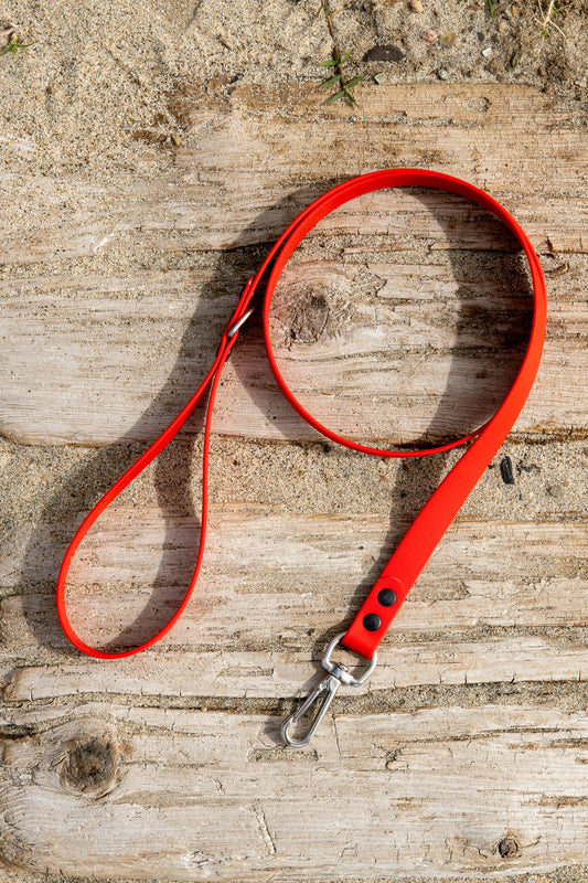 Adjustable Pet Leash